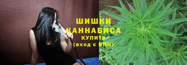 молекула духа Новокубанск