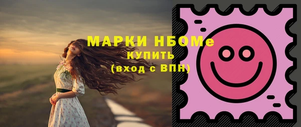 мдпв Новодвинск
