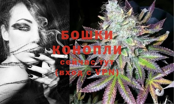 мдпв Новодвинск
