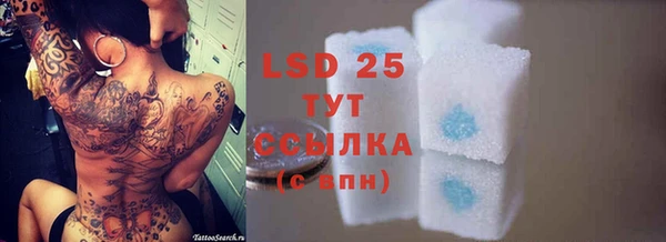 стафф Нефтегорск