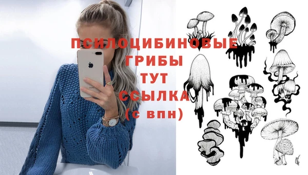 наркотики Новозыбков