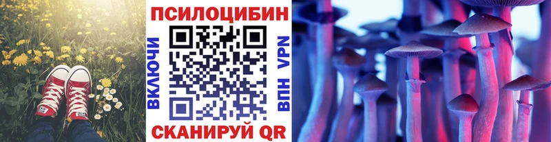 Псилоцибиновые грибы GOLDEN TEACHER  Новопавловск 